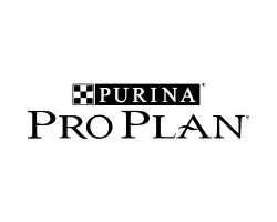 pro 2
